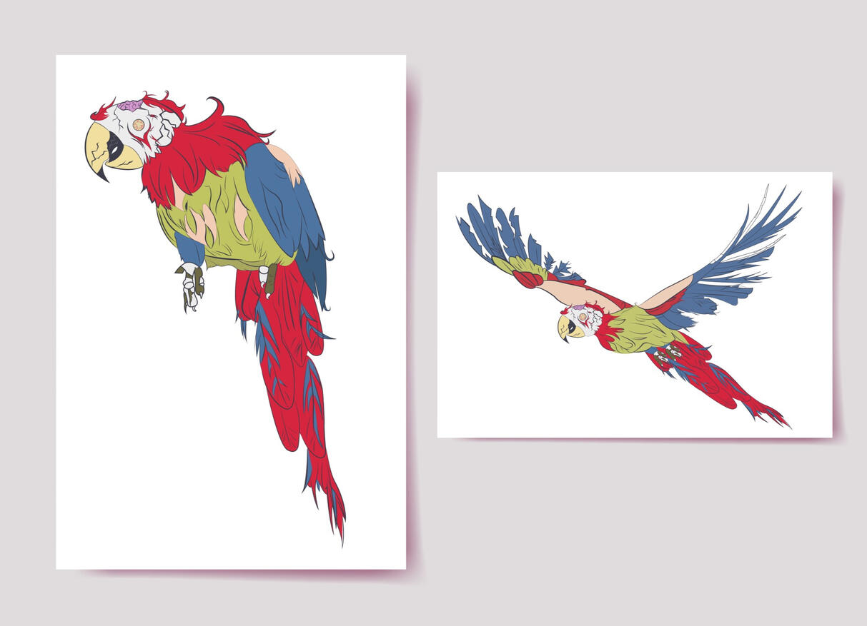 Zombie Parrot Created for Animation